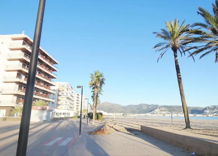 Sol Y Levante 26 *